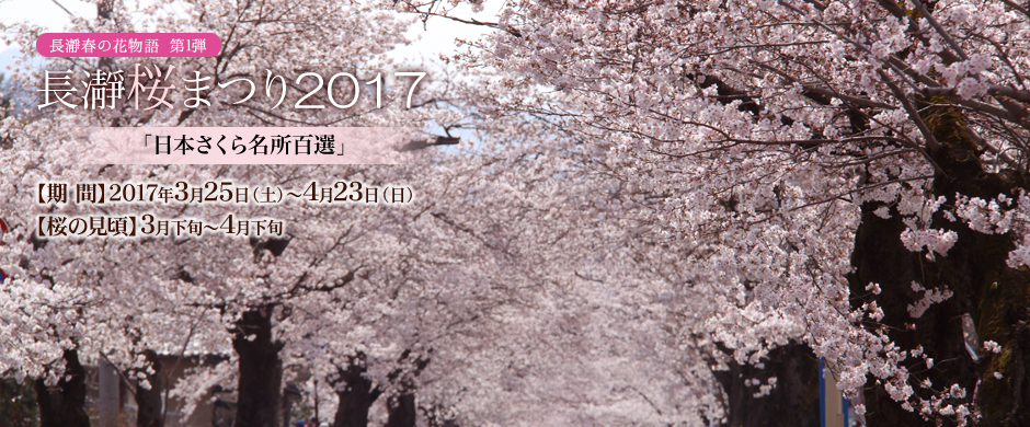 長瀞桜まつり17 長瀞町観光協会公式サイト