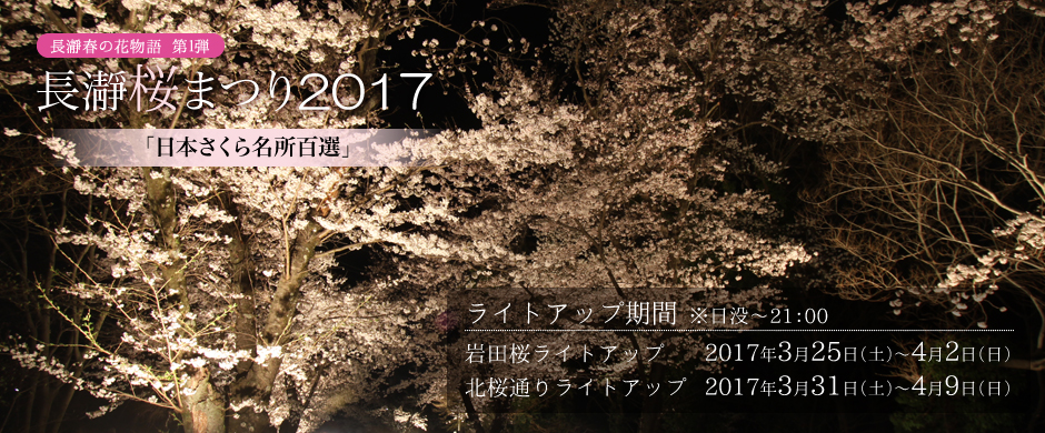 長瀞桜まつり17ライトアップ 長瀞町観光協会公式サイト