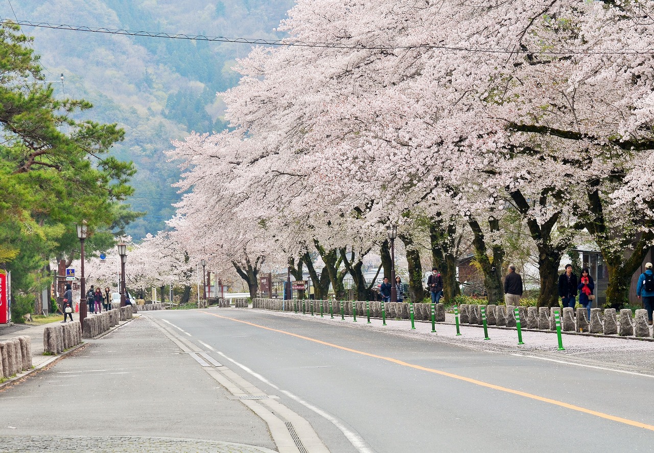 ２０２５年３月２０日～４月３０日